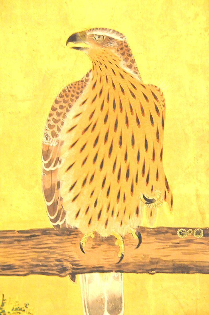 2015-3-2PhilaFlowerMuseum 776_01.JPG