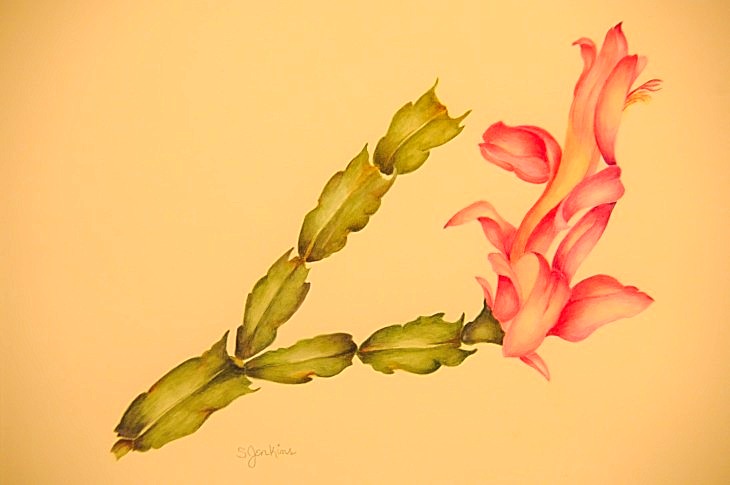 2015-3-2PhilaFlowerMuseum 1563_01.JPG