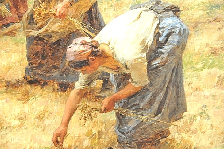 2015-3-2PhilaFlowerMuseum 1022_01.JPG