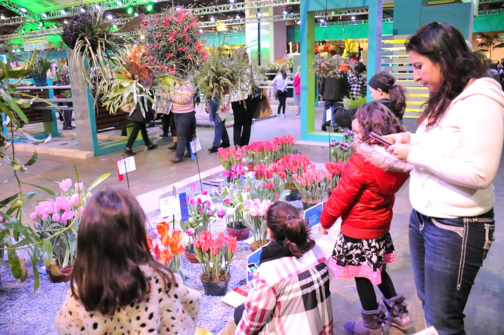 2015-3-2PhilaFlowerMuseum 1297_01.JPG