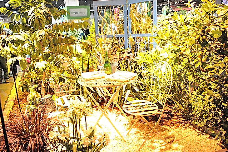 2015-3-2PhilaFlowerMuseum 1258_01.JPG
