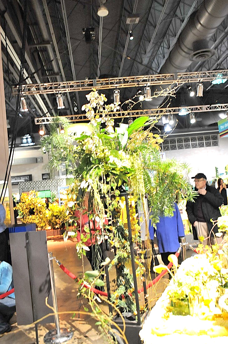 2015-3-2PhilaFlowerMuseum 1222_01.JPG