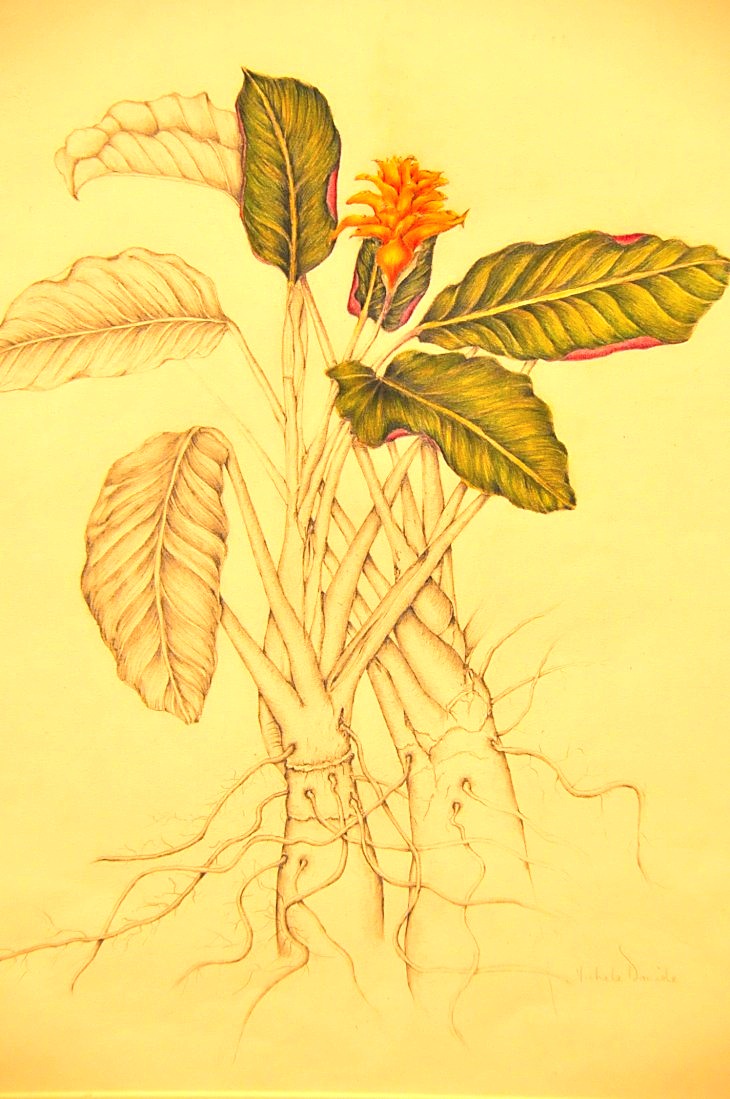 2015-3-2PhilaFlowerMuseum 1555_01.JPG