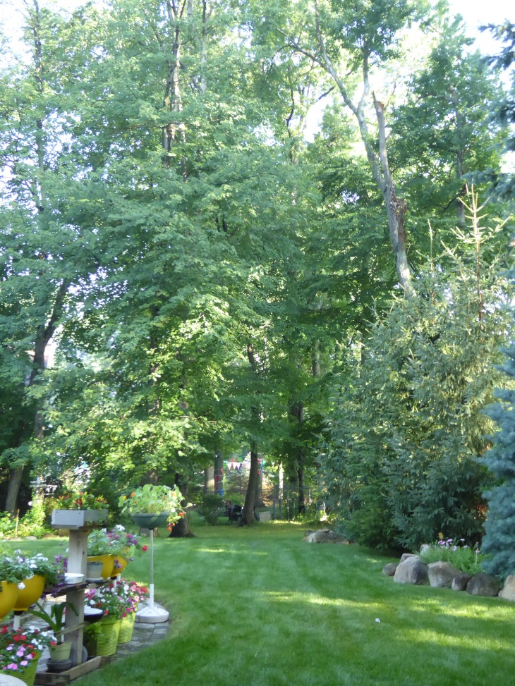2015-7-30Homegarden 165_01.JPG