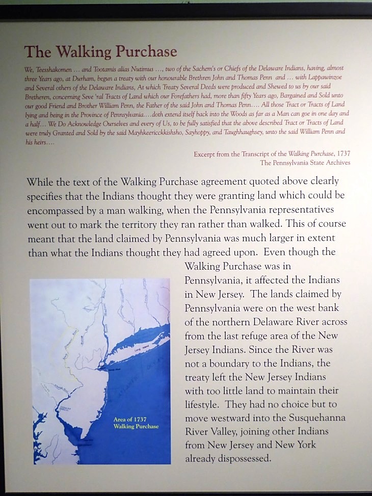 2015-7-30Homegarden 311_01.JPG