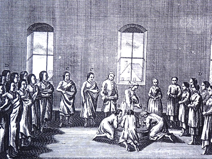 2015-7-30Homegarden 237_01.JPG