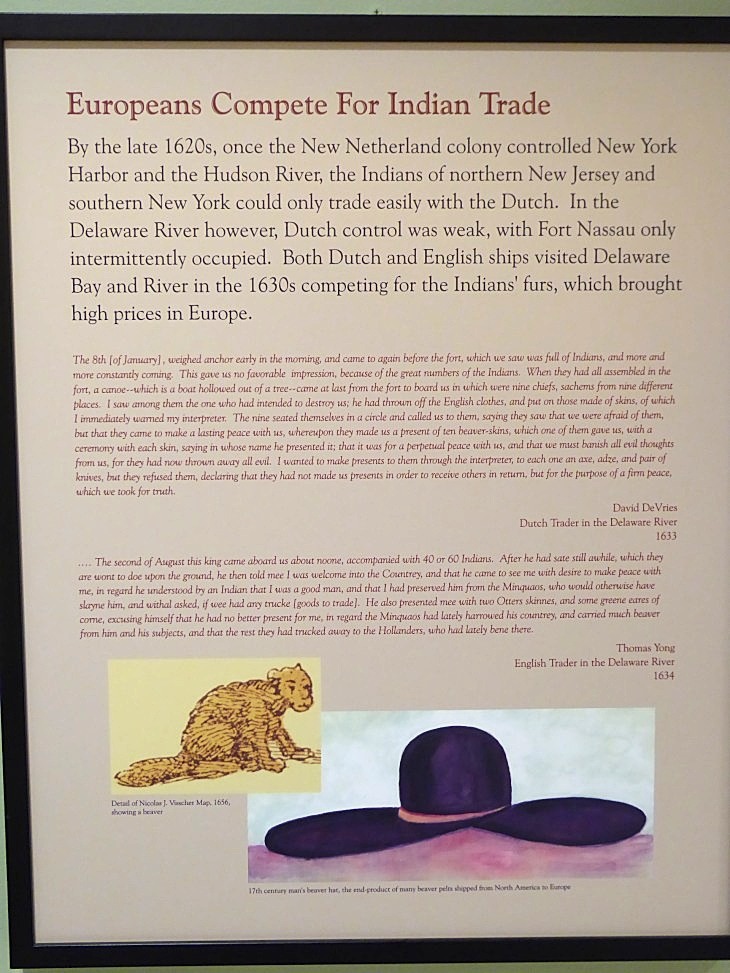 2015-7-30Homegarden 295_01.JPG