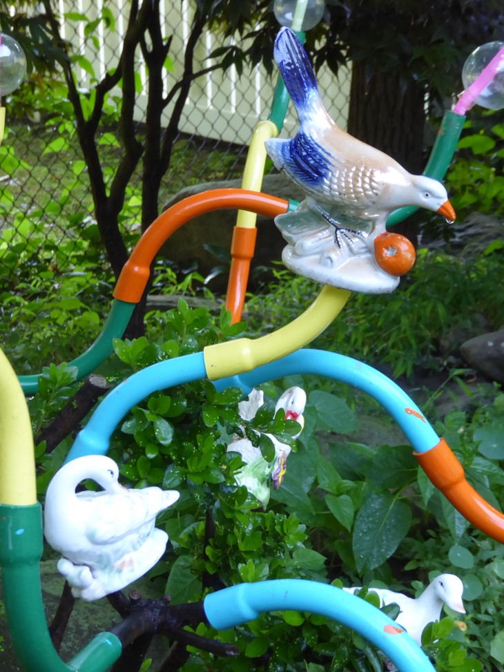 2015-7-30Homegarden 161_01.JPG