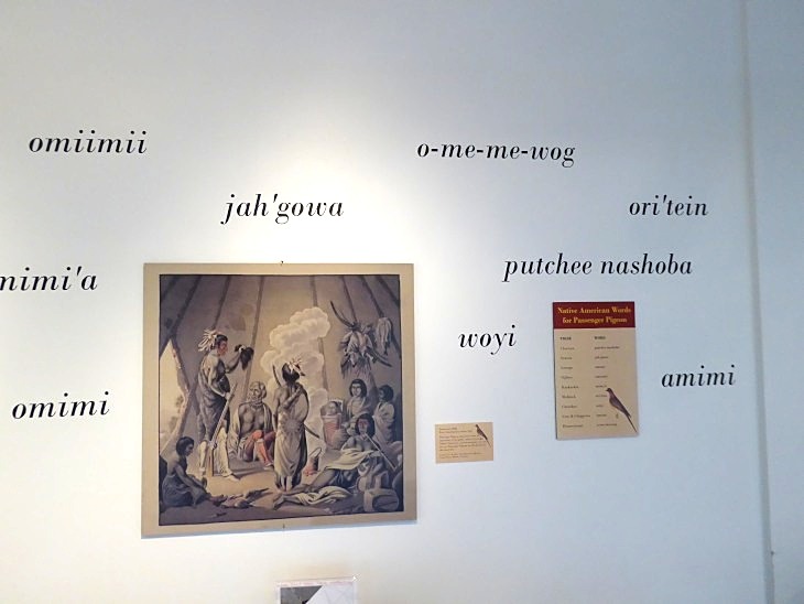 2015-7-30Homegarden 316_01.JPG