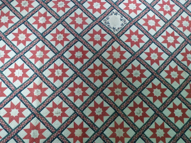 2015-7-30Homegarden 192_01.JPG