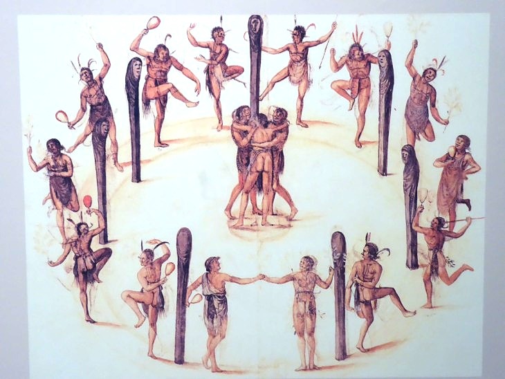 2015-7-30Homegarden 306_01.JPG