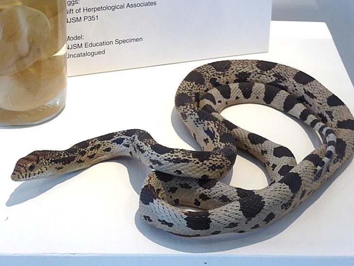 2015-7-30Homegarden 175_01.JPG