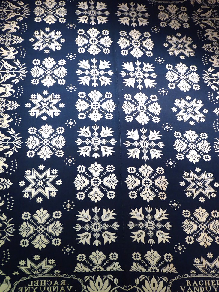 2015-7-30Homegarden 193_01.JPG