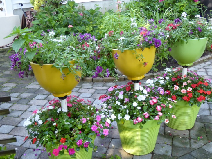 2015-7-30Homegarden 155_01.JPG