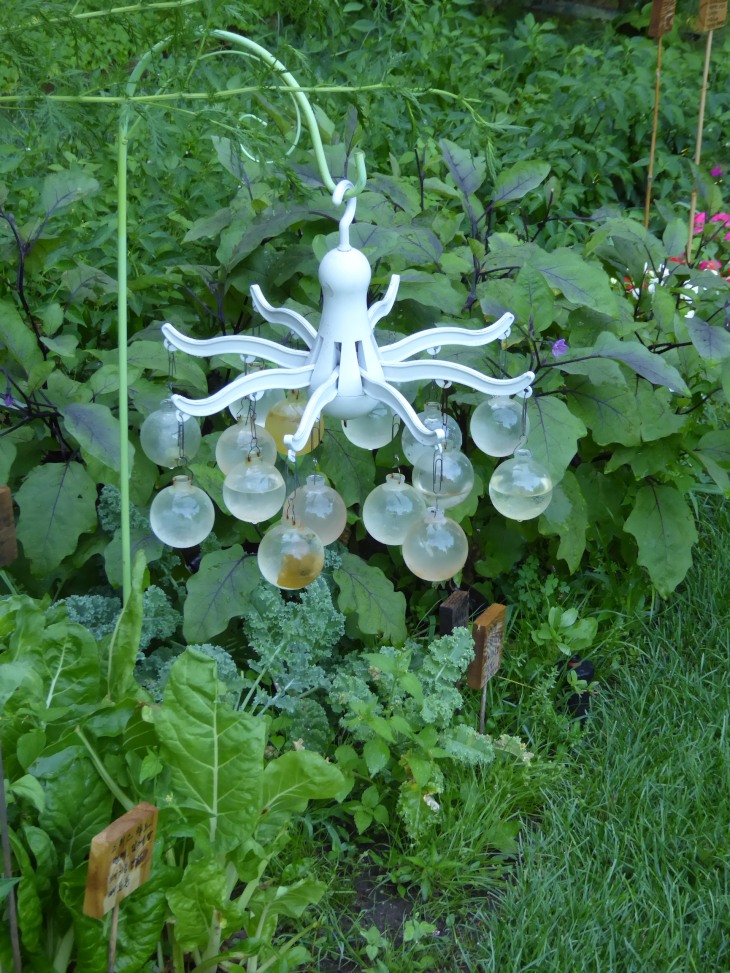 2015-7-30Homegarden 134_01.JPG