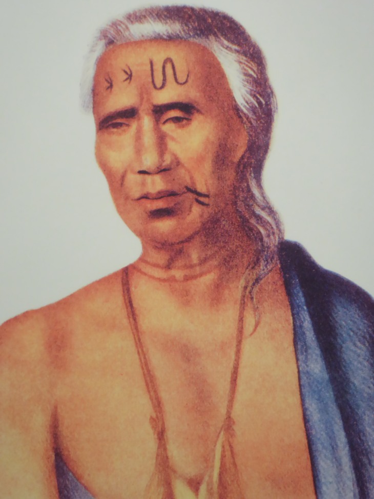 2015-7-30Homegarden 314_01.JPG