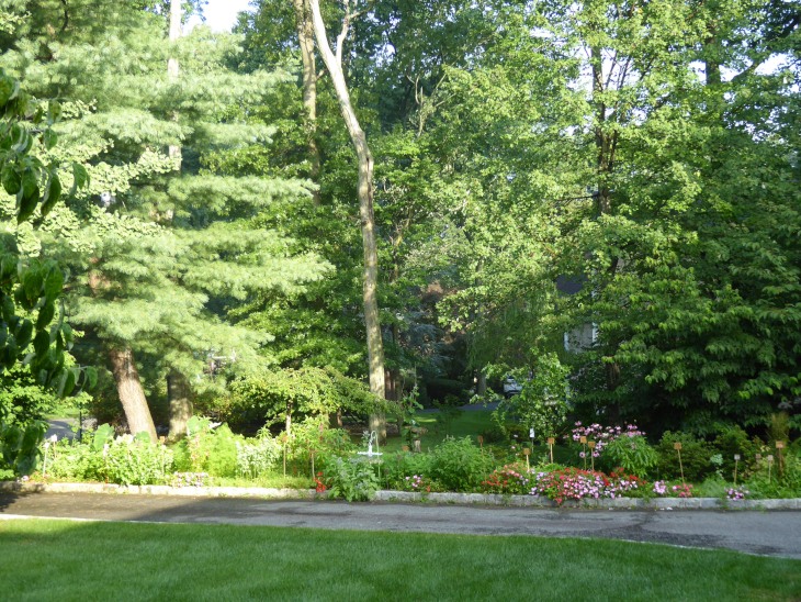 2015-7-30Homegarden 140_01.JPG