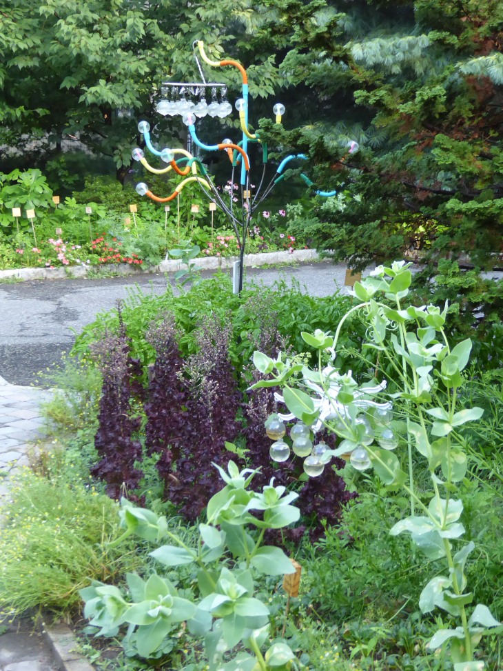 2015-7-30Homegarden 137_01.JPG