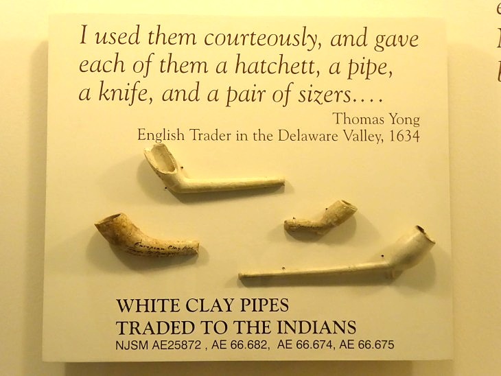 2015-7-30Homegarden 300_01.JPG