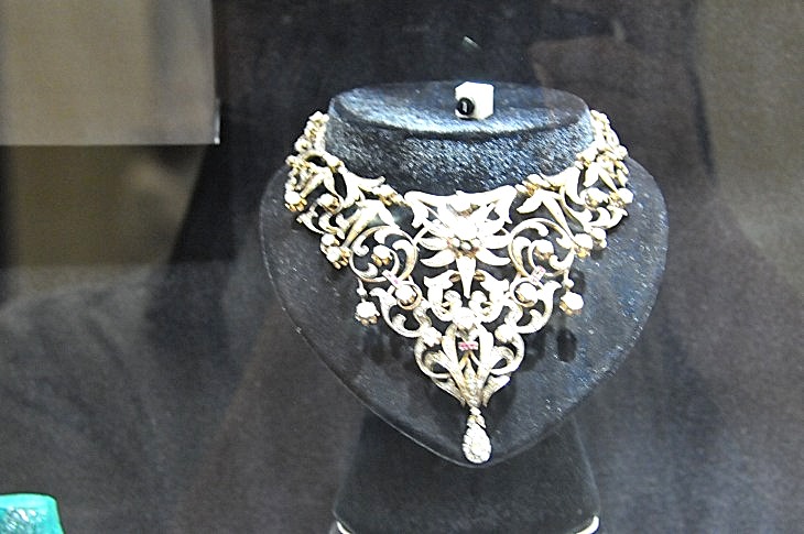 2015-7-29carnegiemuseum 1195_01.JPG