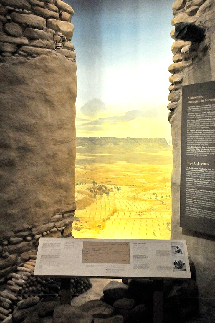 2015-7-29carnegiemuseum 707_01.JPG