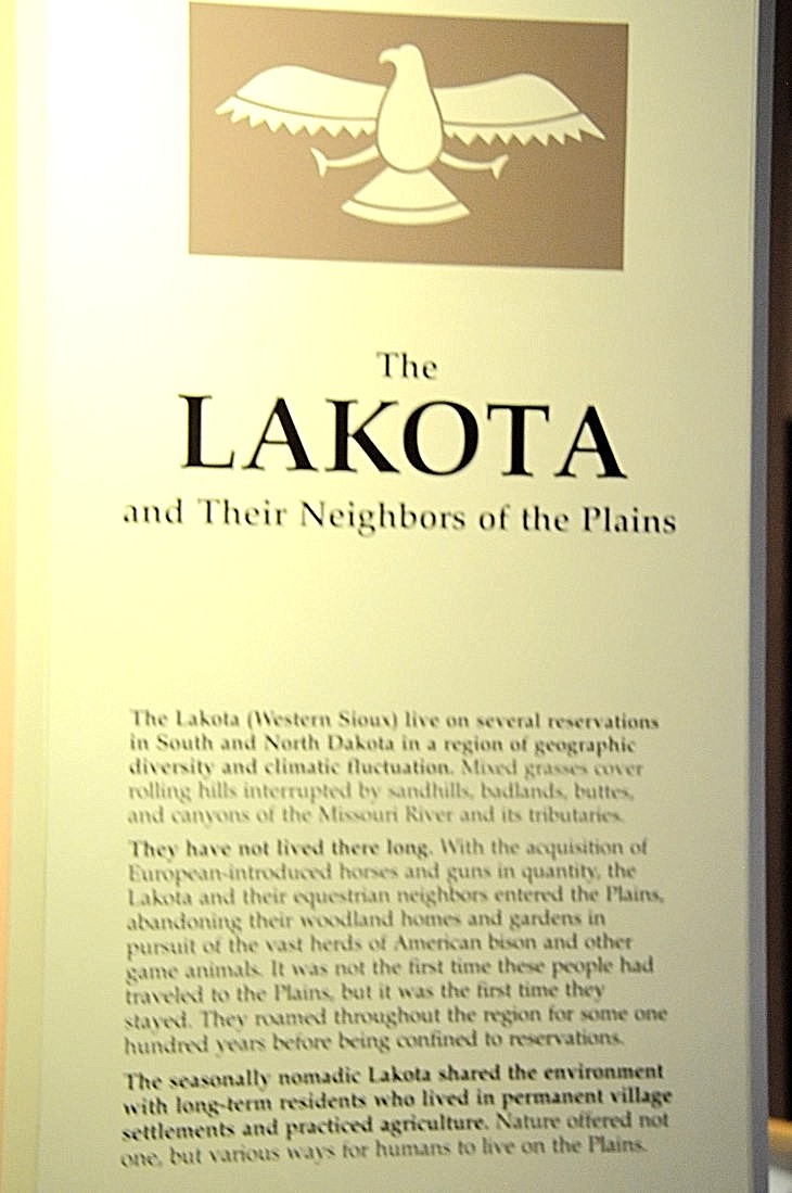 2015-7-29carnegiemuseum 745_01.JPG