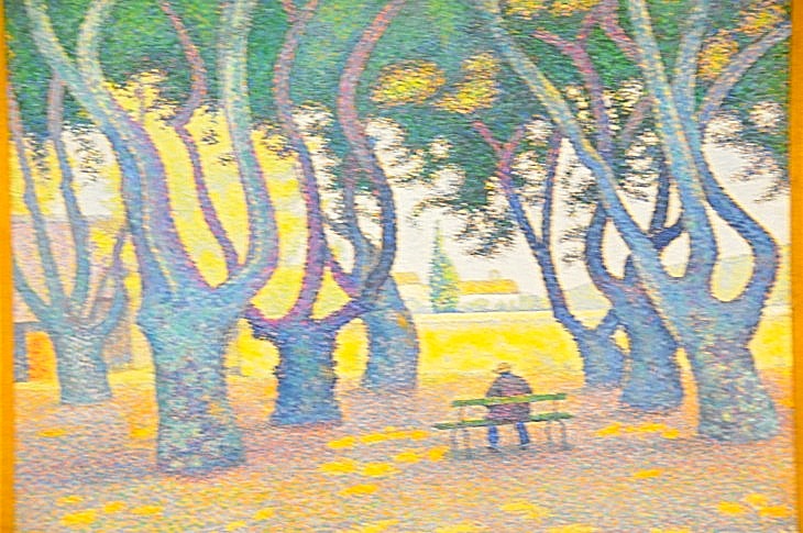 2015-7-29carnegiemuseum 265_01.JPG