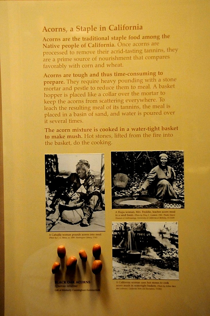 2015-7-29carnegiemuseum 777_01.JPG