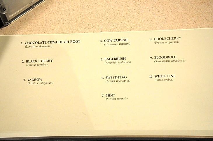 2015-7-29carnegiemuseum 773_01.JPG