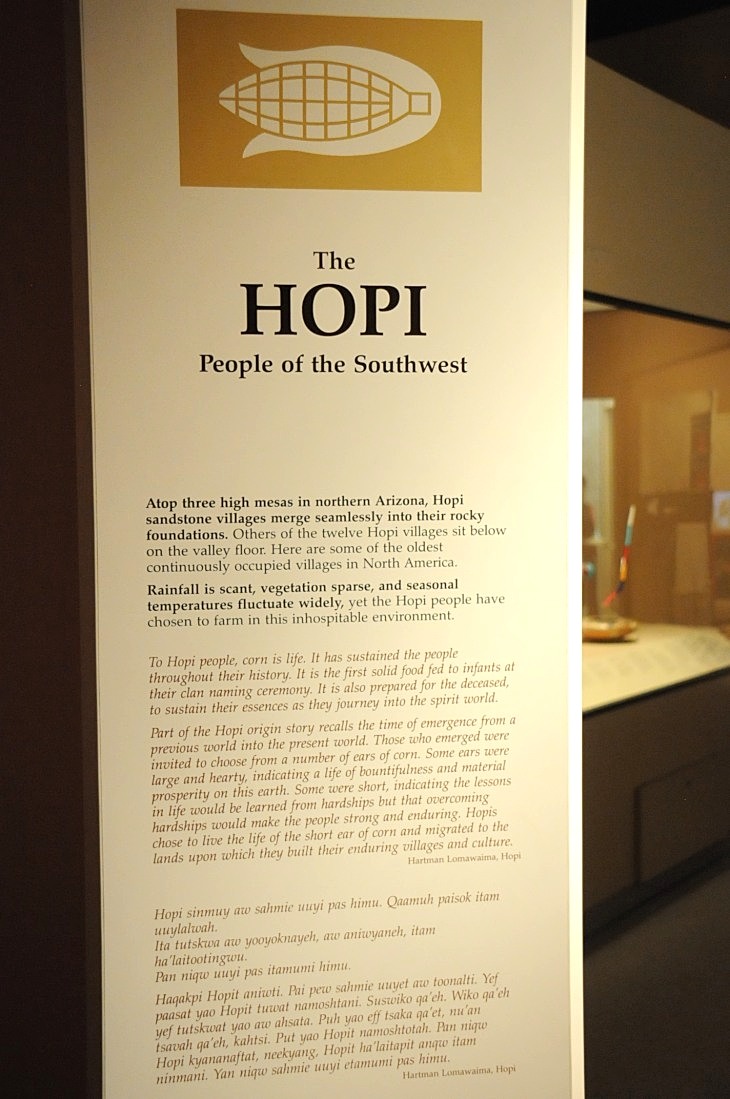 2015-7-29carnegiemuseum 744_01.JPG