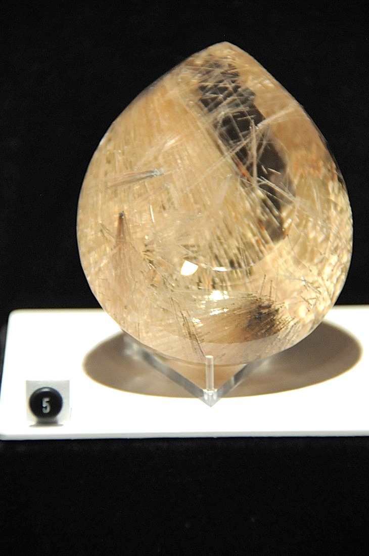 2015-7-29carnegiemuseum 1143_01.JPG