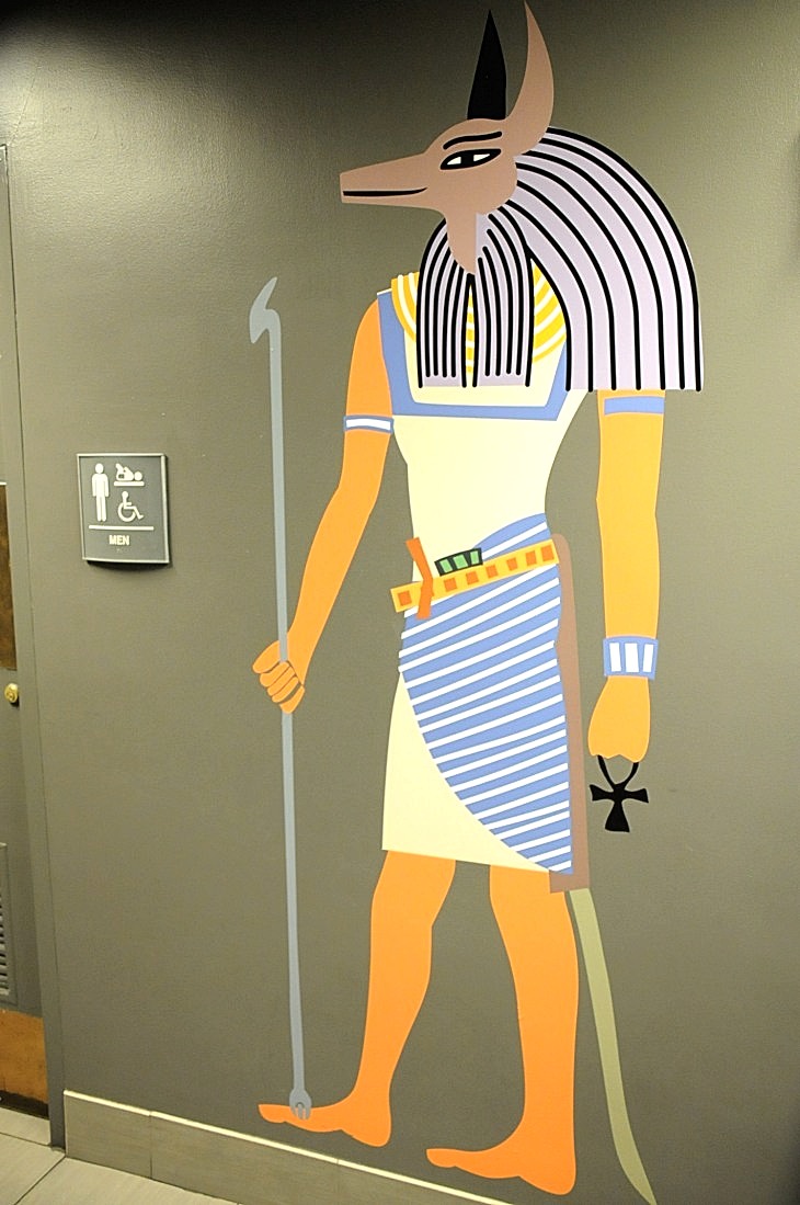 2015-7-29carnegiemuseum 953_01.JPG