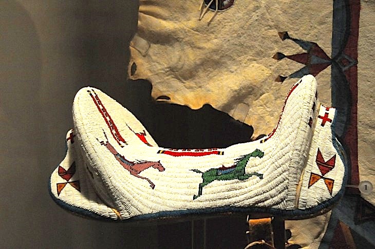 2015-7-29carnegiemuseum 622_01.JPG