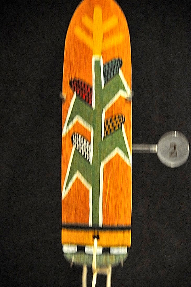 2015-7-29carnegiemuseum 688_01.JPG