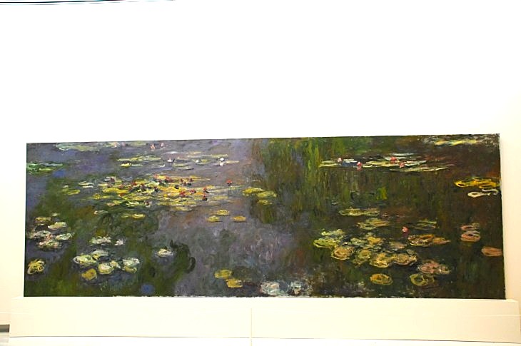 2015-7-29carnegiemuseum 271_01.JPG