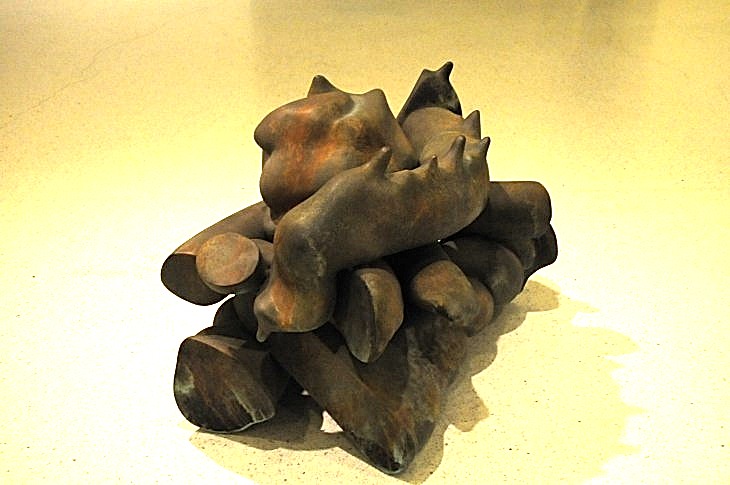 2015-7-29carnegiemuseum 378_01.JPG