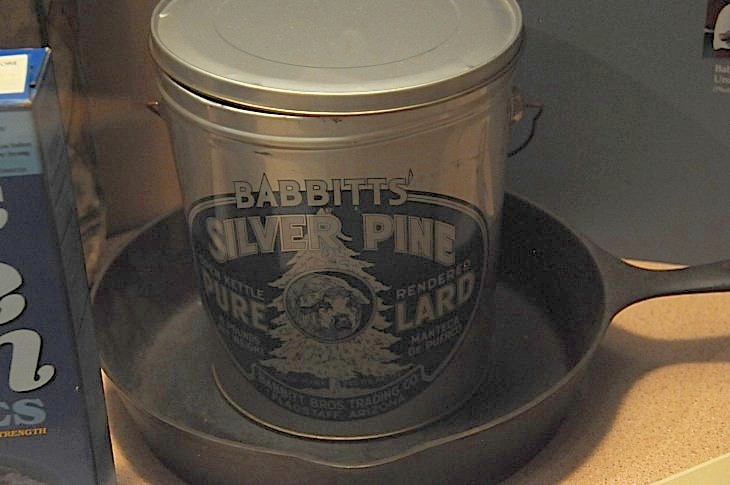 2015-7-29carnegiemuseum 761_01.JPG