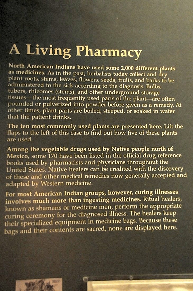 2015-7-29carnegiemuseum 751_01.JPG