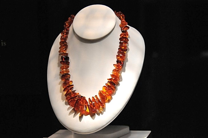 2015-7-29carnegiemuseum 1202_01.JPG