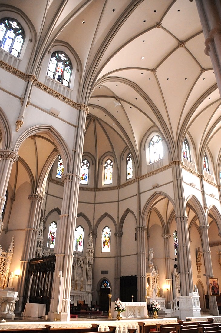 2015-7-29carnegiemuseum 023_01.JPG