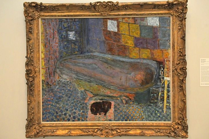 2015-7-29carnegiemuseum 267_01.JPG