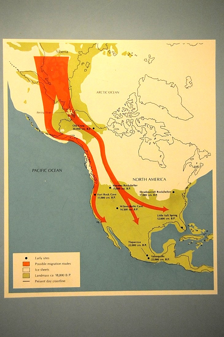 2015-7-29carnegiemuseum 817_01.JPG