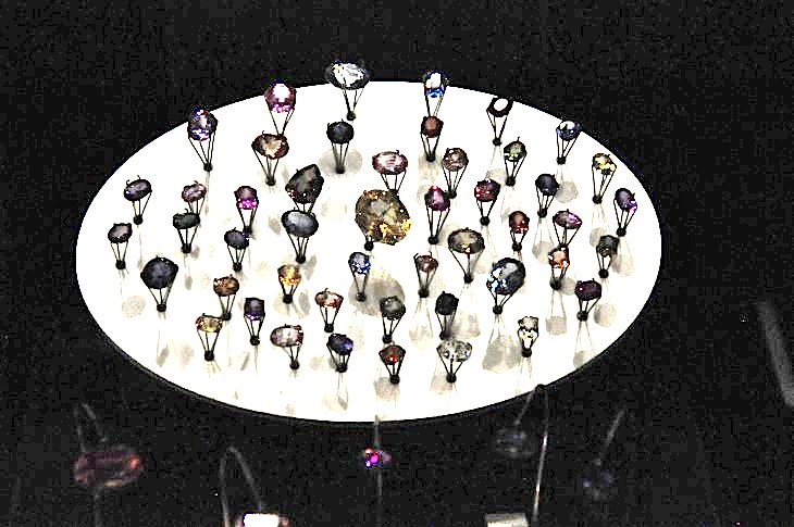 2015-7-29carnegiemuseum 1196_01.JPG