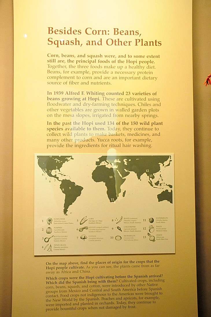 2015-7-29carnegiemuseum 695_01.JPG