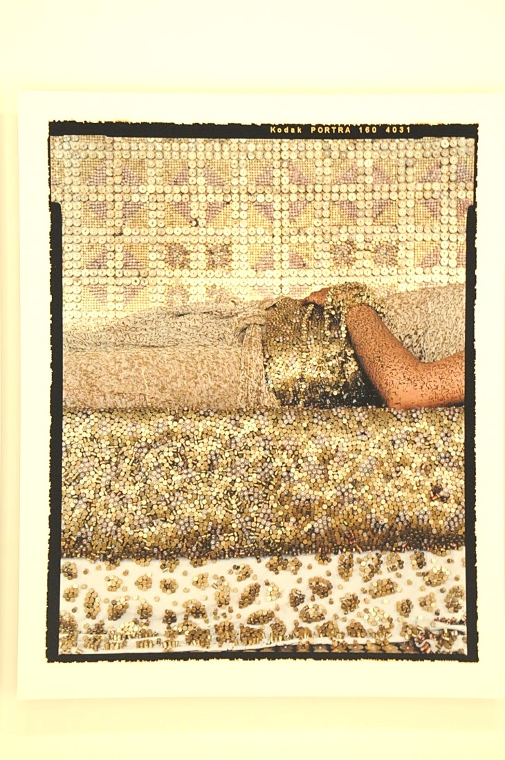 2015-7-29carnegiemuseum 093_01.JPG