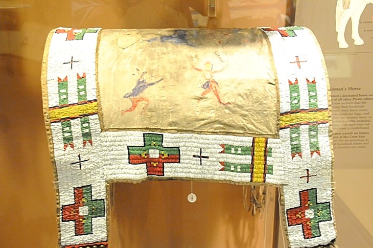 2015-7-29carnegiemuseum 600_01.JPG