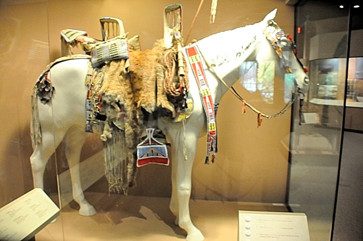 2015-7-29carnegiemuseum 599_01.JPG