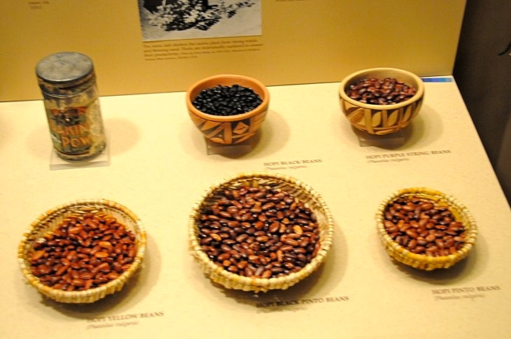 2015-7-29carnegiemuseum 694_01.JPG