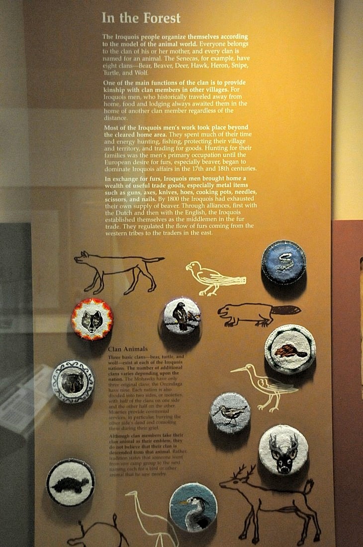 2015-7-29carnegiemuseum 572_01.JPG