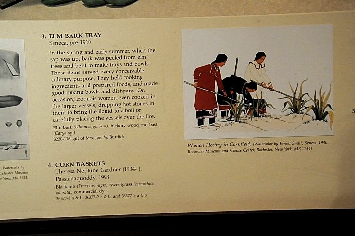 2015-7-29carnegiemuseum 787_01.JPG